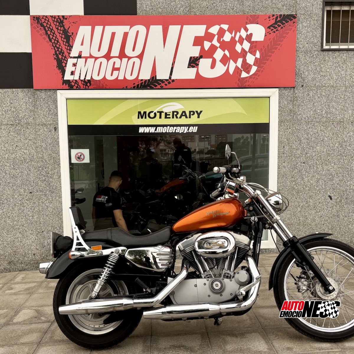 HARLEY DAVIDSON, SPORTSTER 1200 